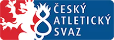 Logo partnera stadionu